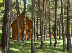 Гостиница Camping Fontfreda, Кастельяр-Дель-Риу